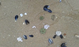 beach art